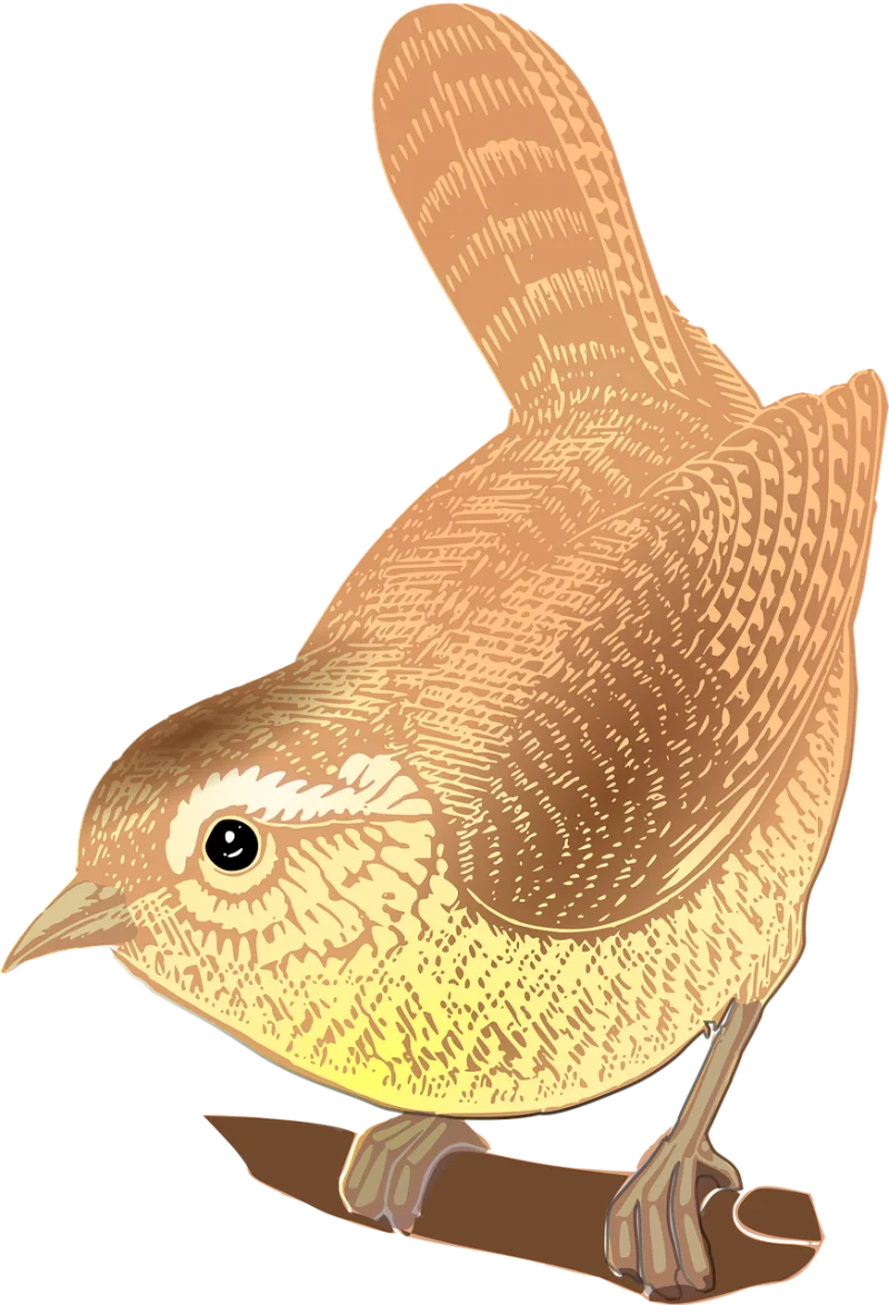 Bird Perched Animal Stickdatei – Tiere