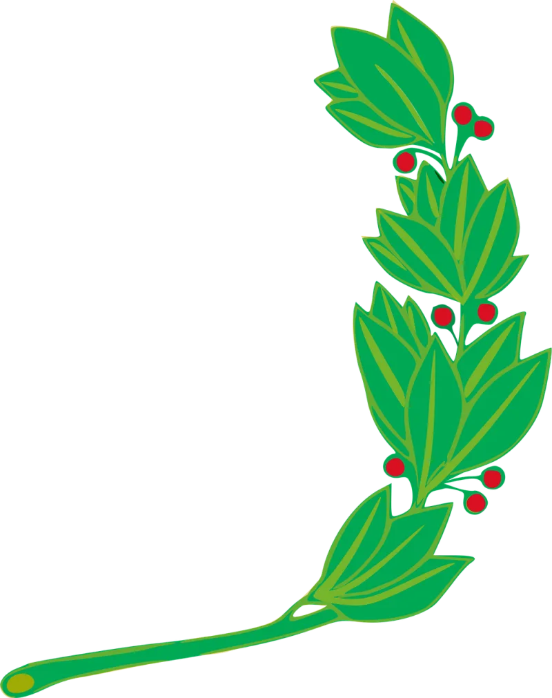 Branch Laurel Leaf Stickdatei – Natur