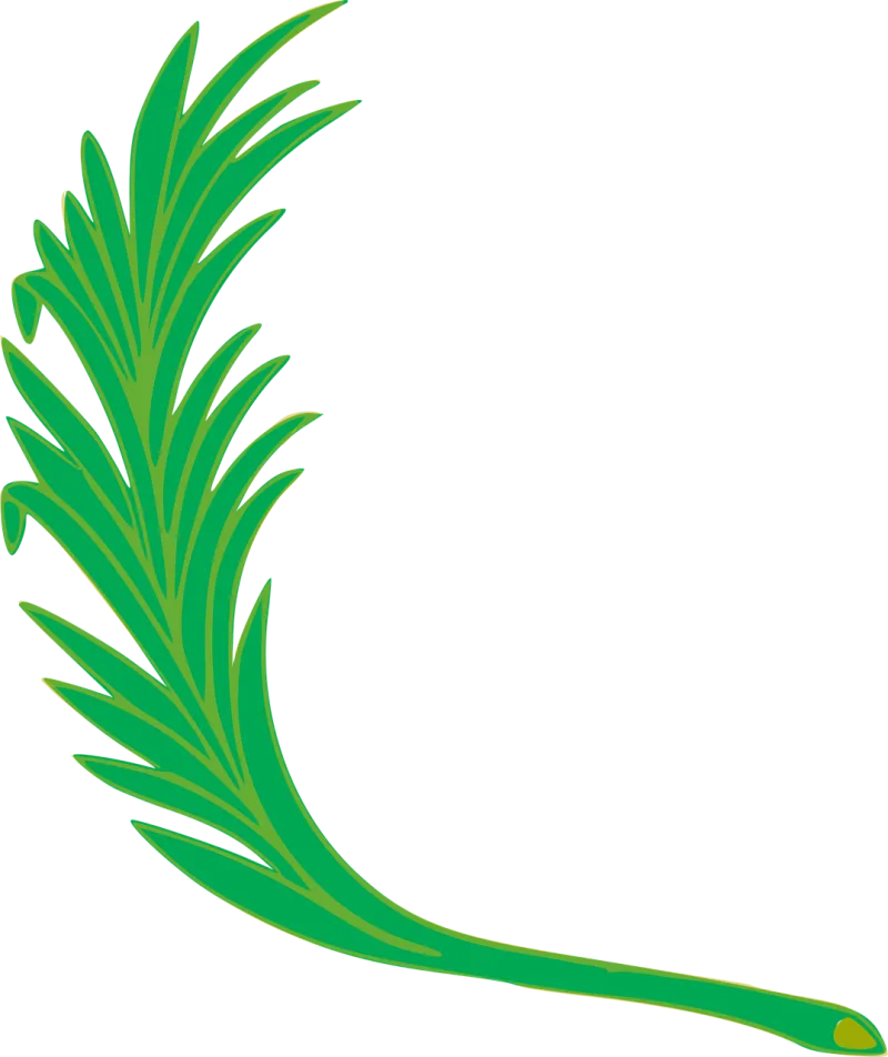 Branch Leaf Leafy Stickdatei – Natur