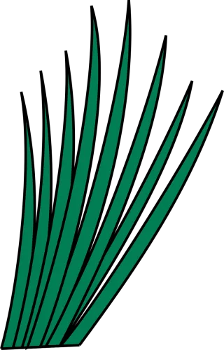 Grass Leaf Nature Stickdatei