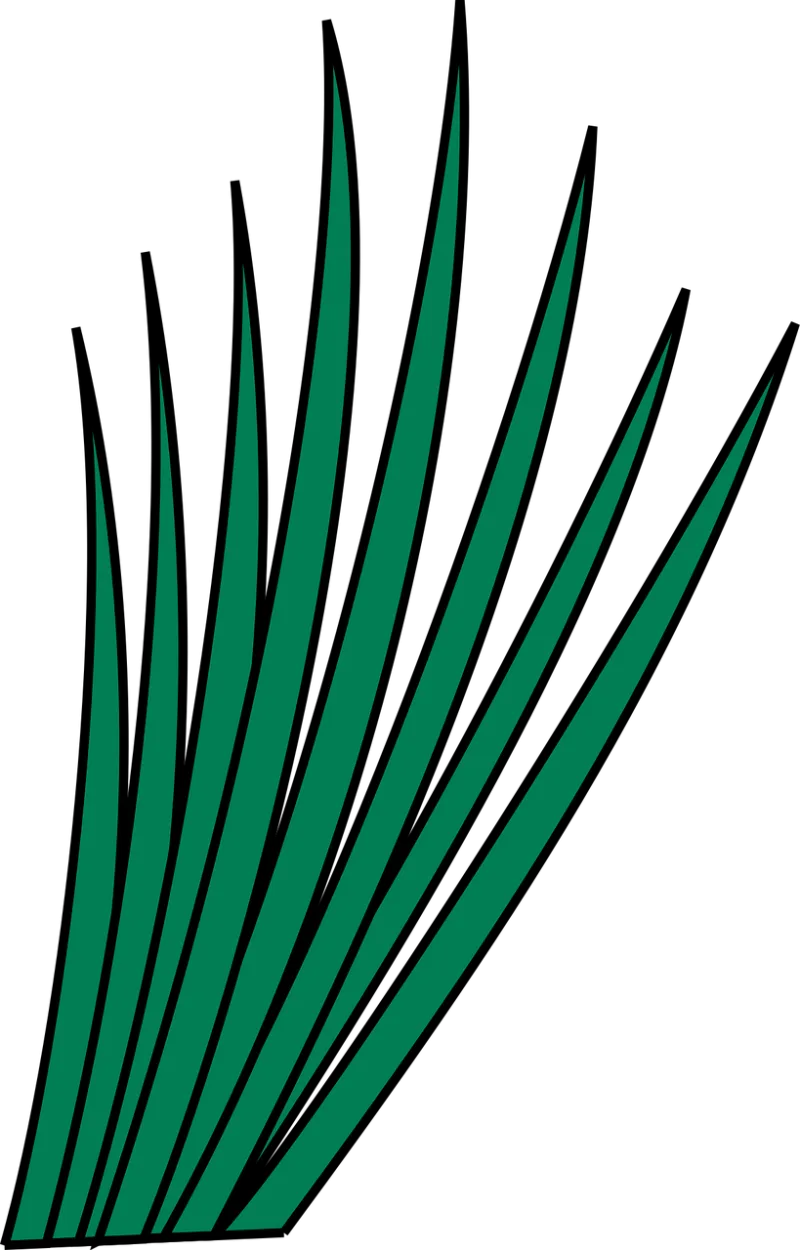 Grass Leaf Nature Stickdatei – Natur