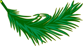 Branch Frond Leaf Stickdatei
