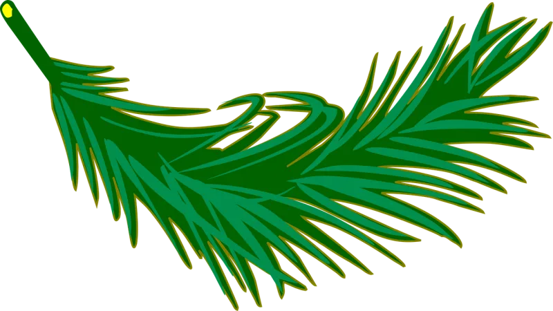 Branch Frond Leaf Stickdatei – Natur