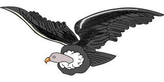 Andean Animal Nature Stickdatei
