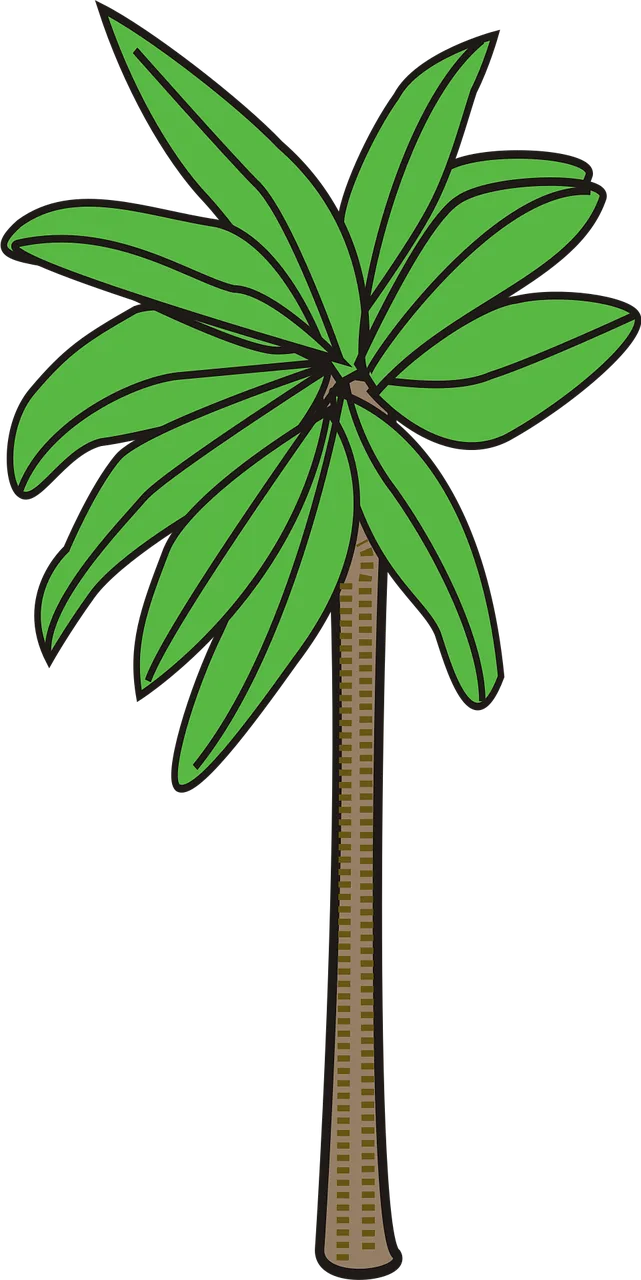 Palm Plant Tree Stickdatei – Natur