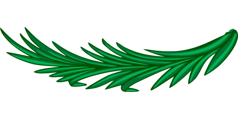 Branch Laurel Leaf Stickdatei – Natur