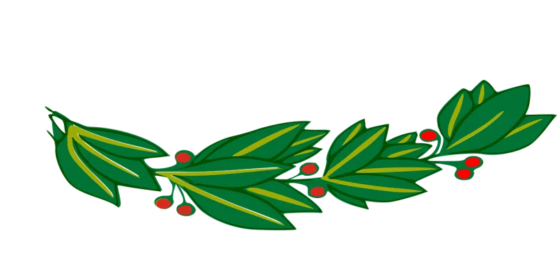 Branch Laurel Nature Stickdatei – Natur