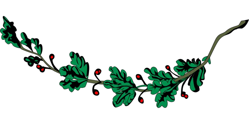 Branch Leaf Nature Stickdatei – Natur