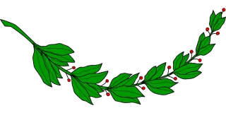 Branch Laurel Leaf Stickdatei