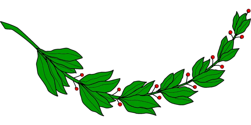 Branch Laurel Leaf Stickdatei – Natur