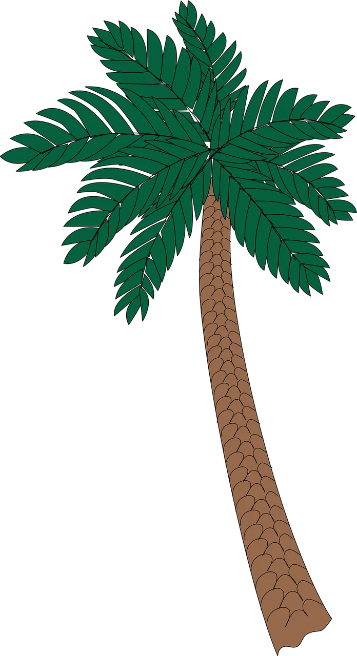 Palm Plant Tree Stickdatei – Natur