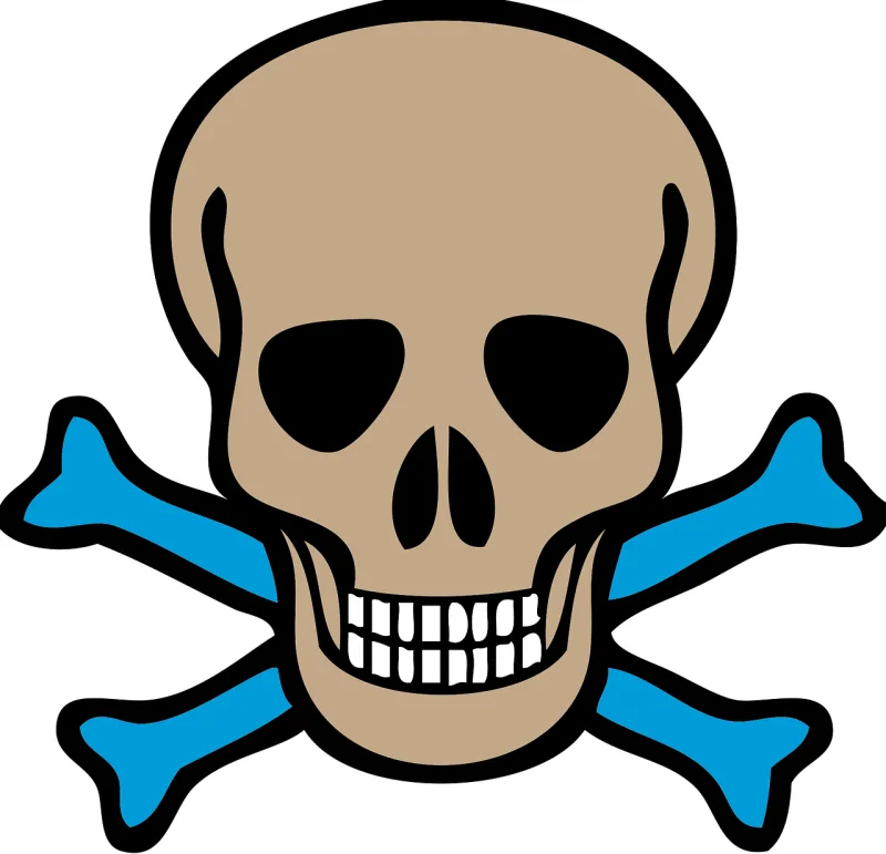 Crossbones Poison Skull Stickdatei – Kinder