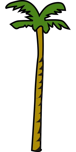 Coconut Nature Palm Stickdatei