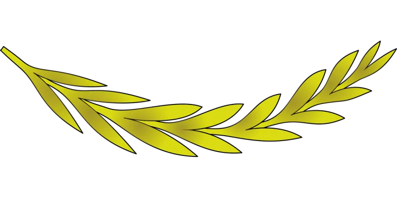 Branch Leaf Nature Stickdatei – Natur