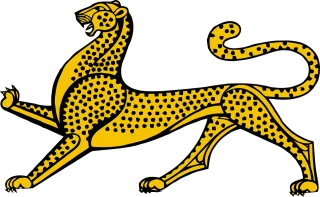 Animal Cat Pet Stickdatei