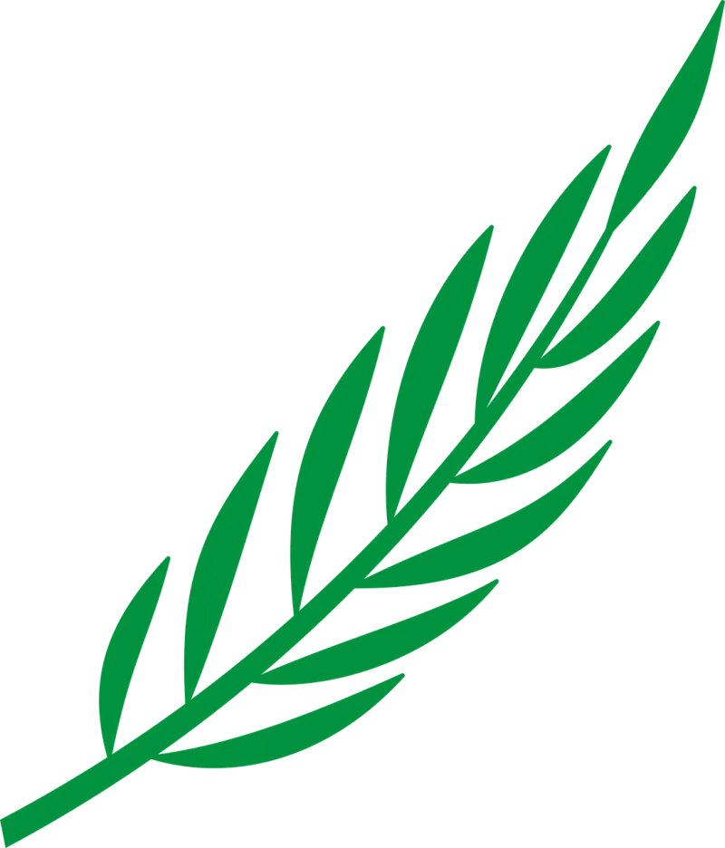 Branch Nature Laurel Stickdatei – Natur
