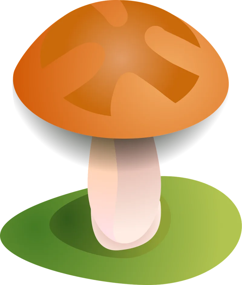 Fall Forest Fungus Stickdatei – Natur