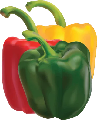 Capsicum Food Pepper Stickdatei