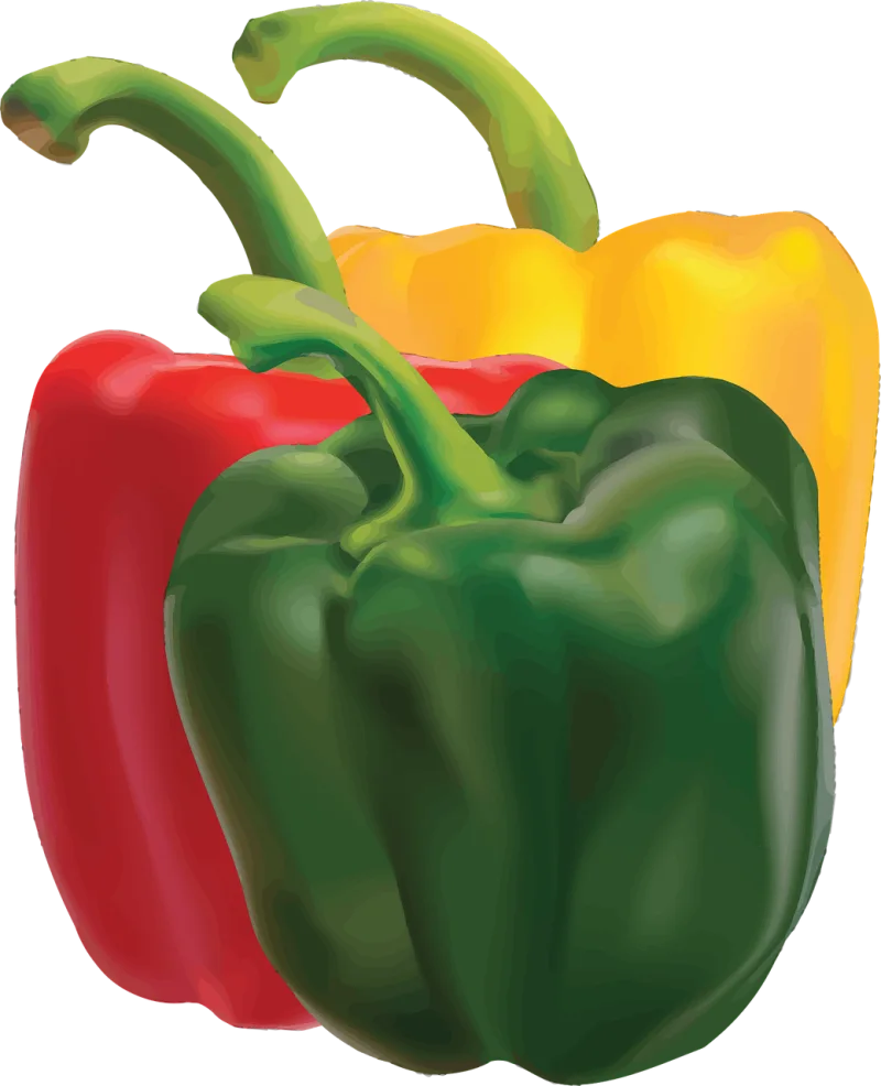 Capsicum Food Pepper Stickdatei – Weihnachten