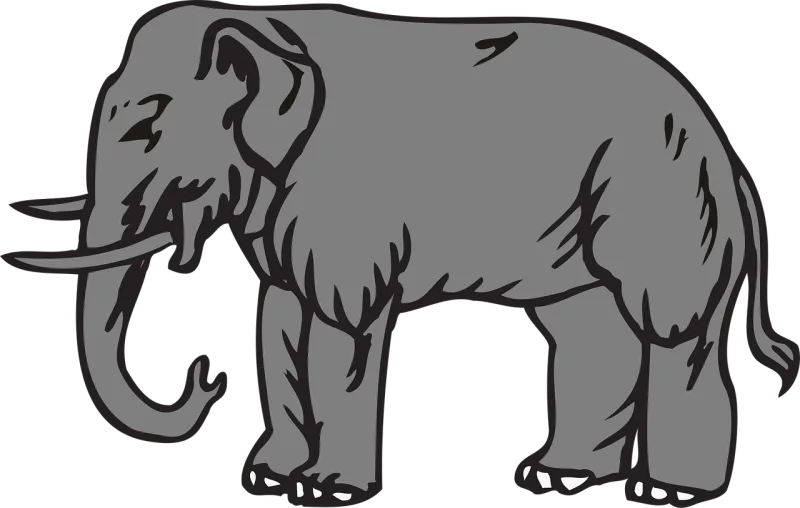 Africa African Nature Stickdatei – Tiere