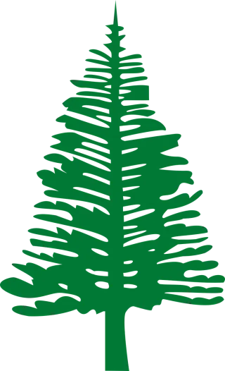 Norfolk island Pine Nature Stickdatei