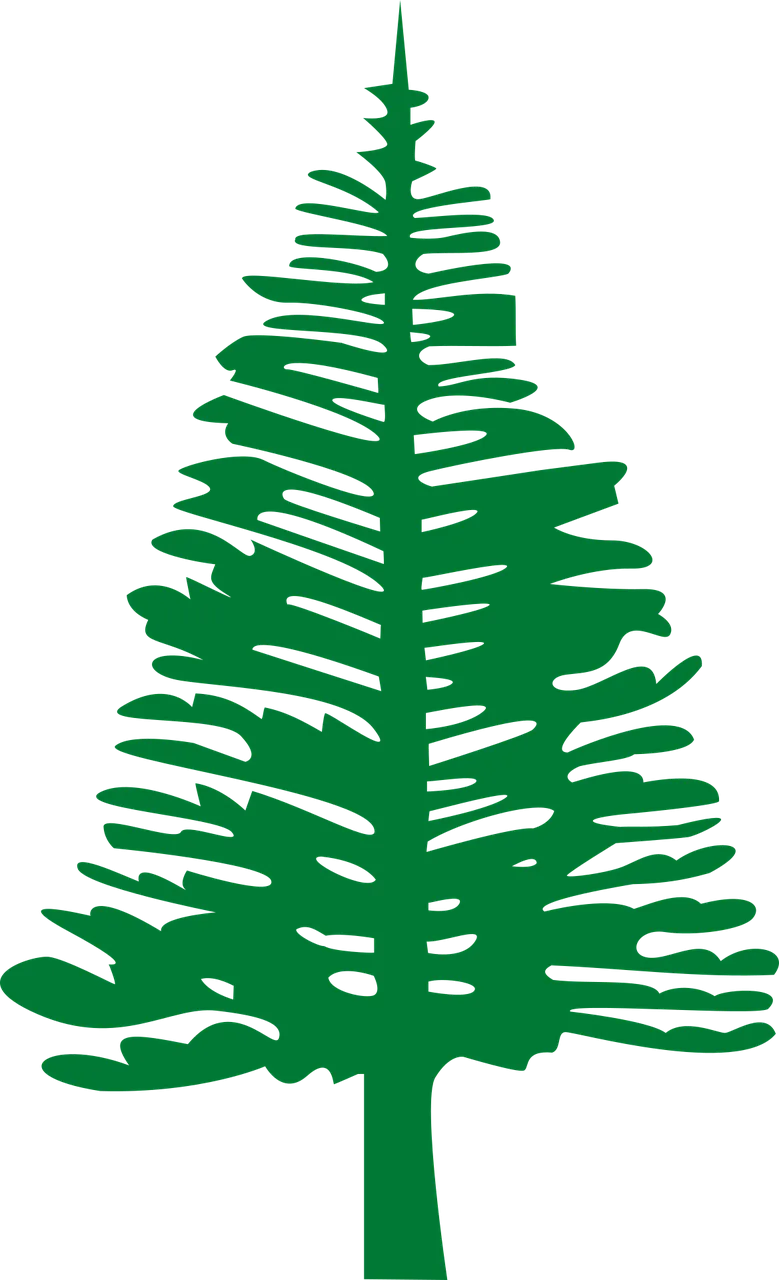 Norfolk island Pine Nature Stickdatei – Natur