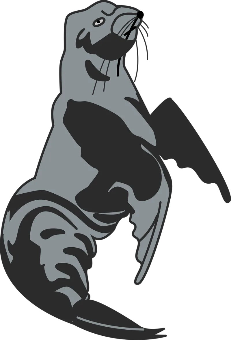Animal Mammal Ocean Stickdatei – Tiere