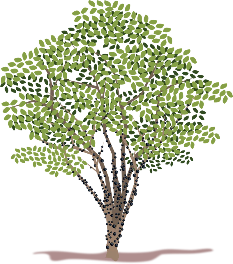 Clip art Flora Nature Stickdatei – Natur