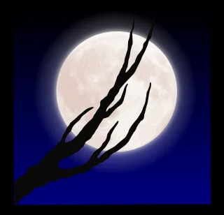 Halloween Horror Moon Stickdatei