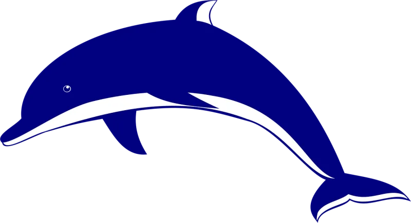 Animal Nature Dolphin Stickdatei – Tiere