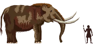 Elephant Mammoth Mastodon Stickdatei
