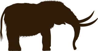 Animal Nature Elephant Stickdatei – Tiere
