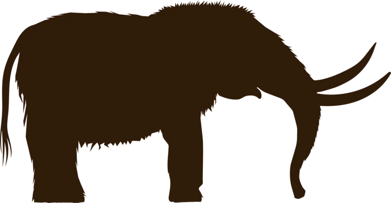 Animal Nature Elephant Stickdatei – Tiere