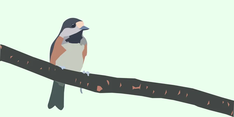 Bird Nature Branch Stickdatei – Tiere