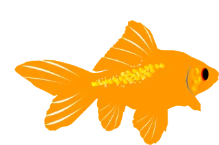 Aquarium Nature Fish Stickdatei