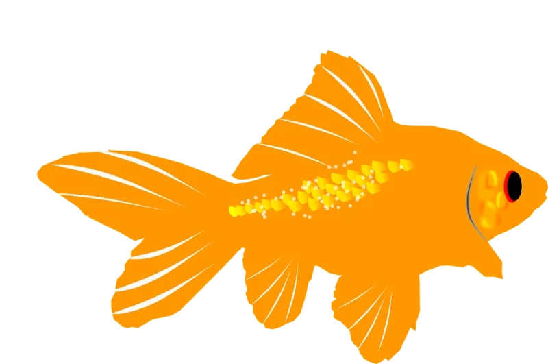 Aquarium Nature Fish Stickdatei – Tiere