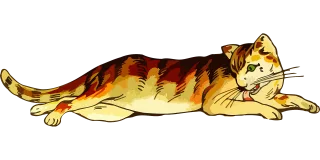 Animal Cat Mammal Stickdatei