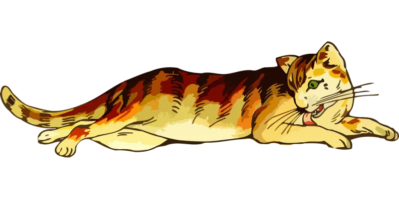 Animal Cat Mammal Stickdatei – Tiere