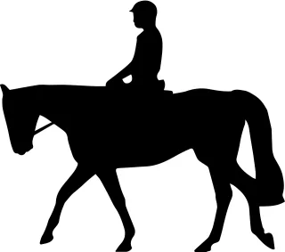 Dressage Nature Horse Stickdatei