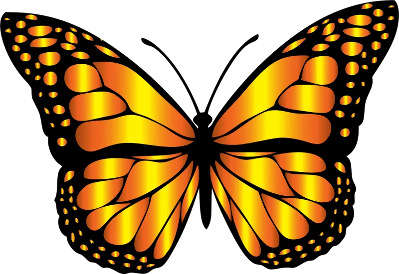 Animal Butterfly Chromatic Stickdatei – Tiere