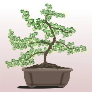Bonsai Clip art Flora Stickdatei
