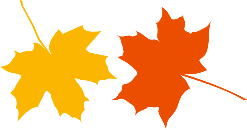 Autumn Nature Defoliation Stickdatei – Natur