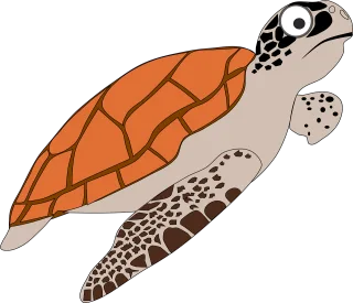 Cartoon Orange Sea Stickdatei
