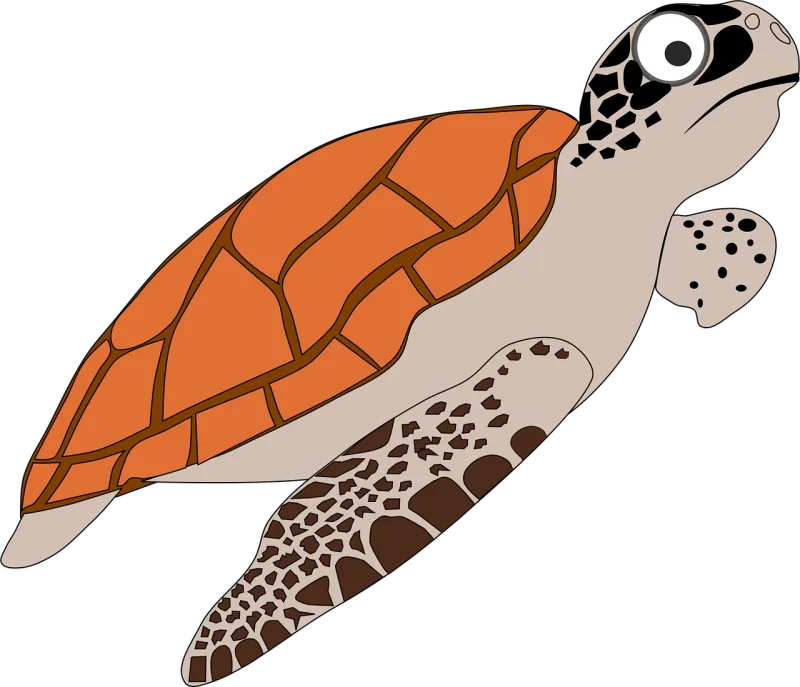 Cartoon Orange Sea Stickdatei – Tiere