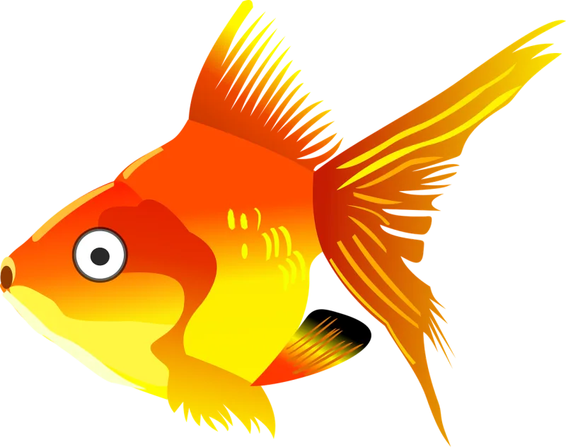 Cartoon Fish Nature Stickdatei – Sport