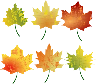 Autumn Colours Fall Stickdatei
