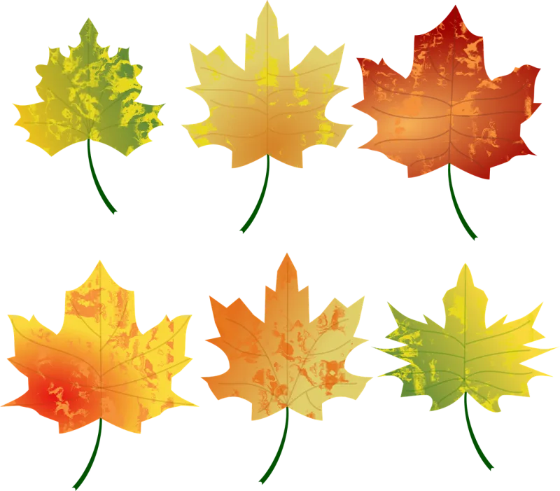 Autumn Colours Fall Stickdatei – Natur