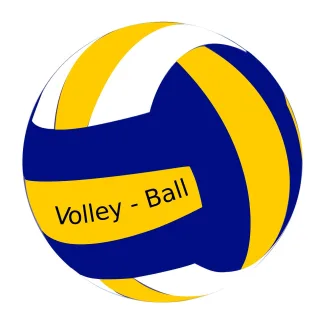 Ball Female Volley Stickdatei