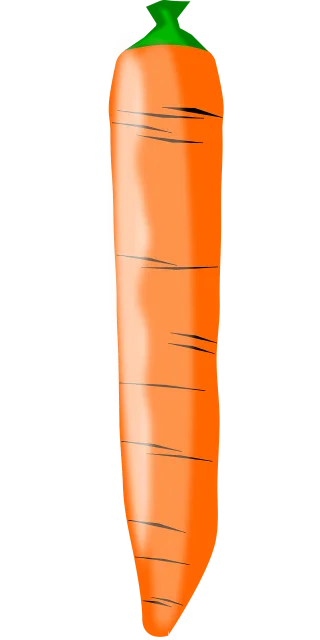 Carrot Food Fruit veggie Stickdatei – Essen & Trinken