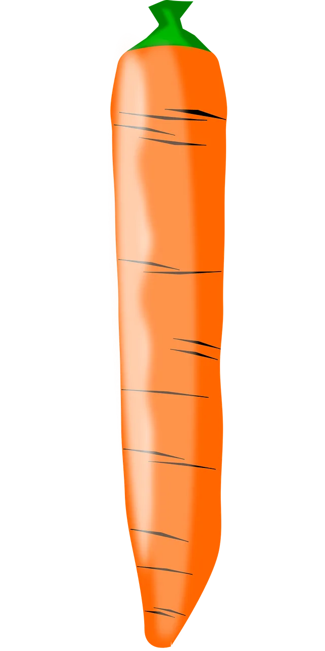 Carrot Food Fruit veggie Stickdatei – Essen & Trinken